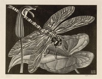 Libellula (Glazenmaker
