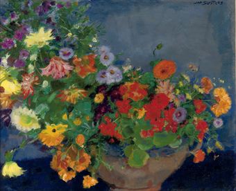 Colourful flowers